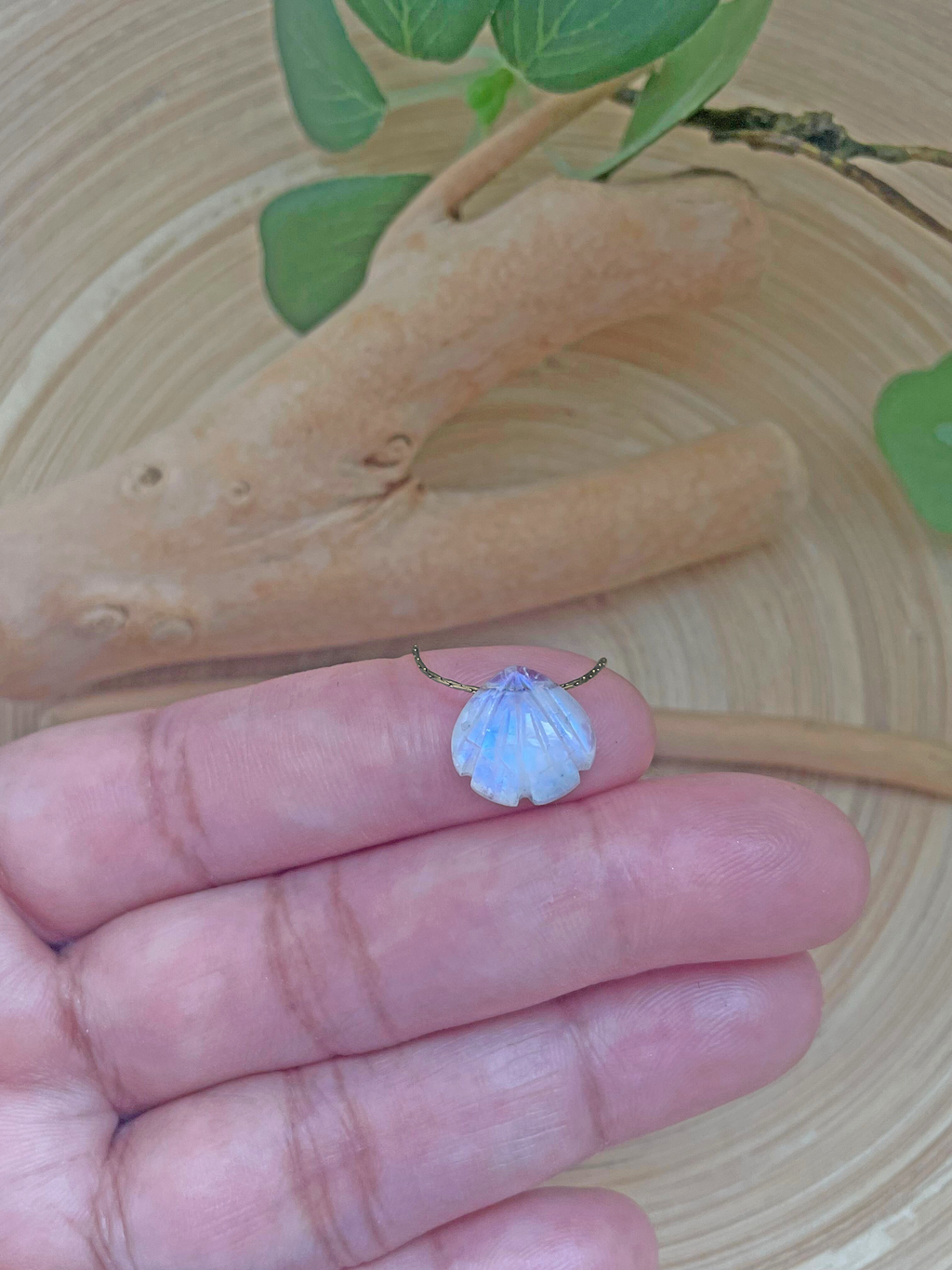 SEASHELL MOONSTONE NECKLACE