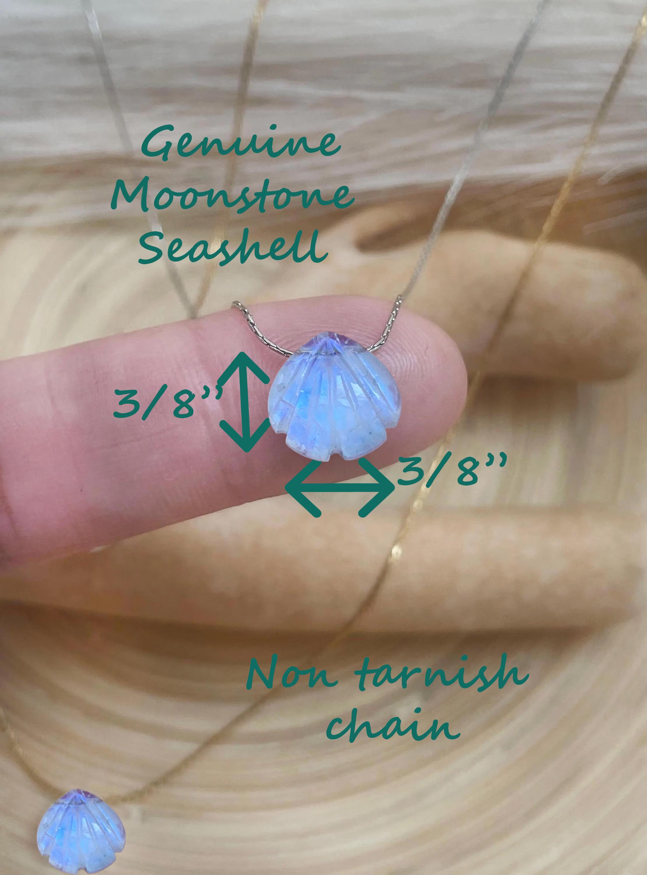 Moonstone Seashell Minimalist Necklace