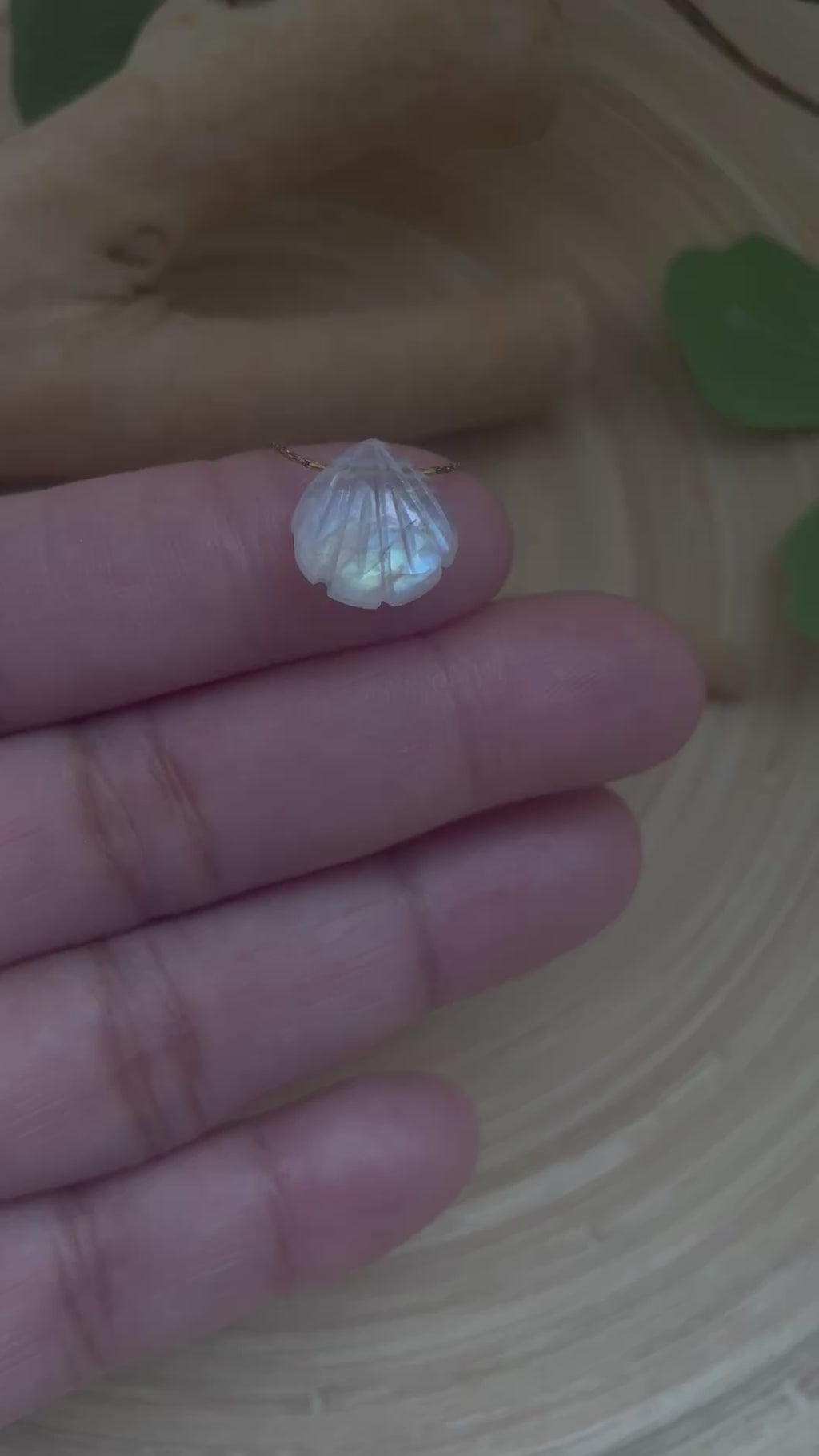 Moonstone Seashell Minimalist Necklace